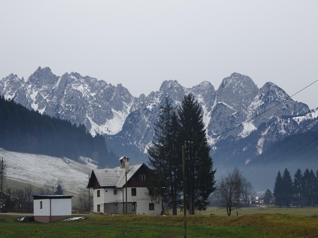 Апартаменты Haus Gruenwald Гозау Экстерьер фото